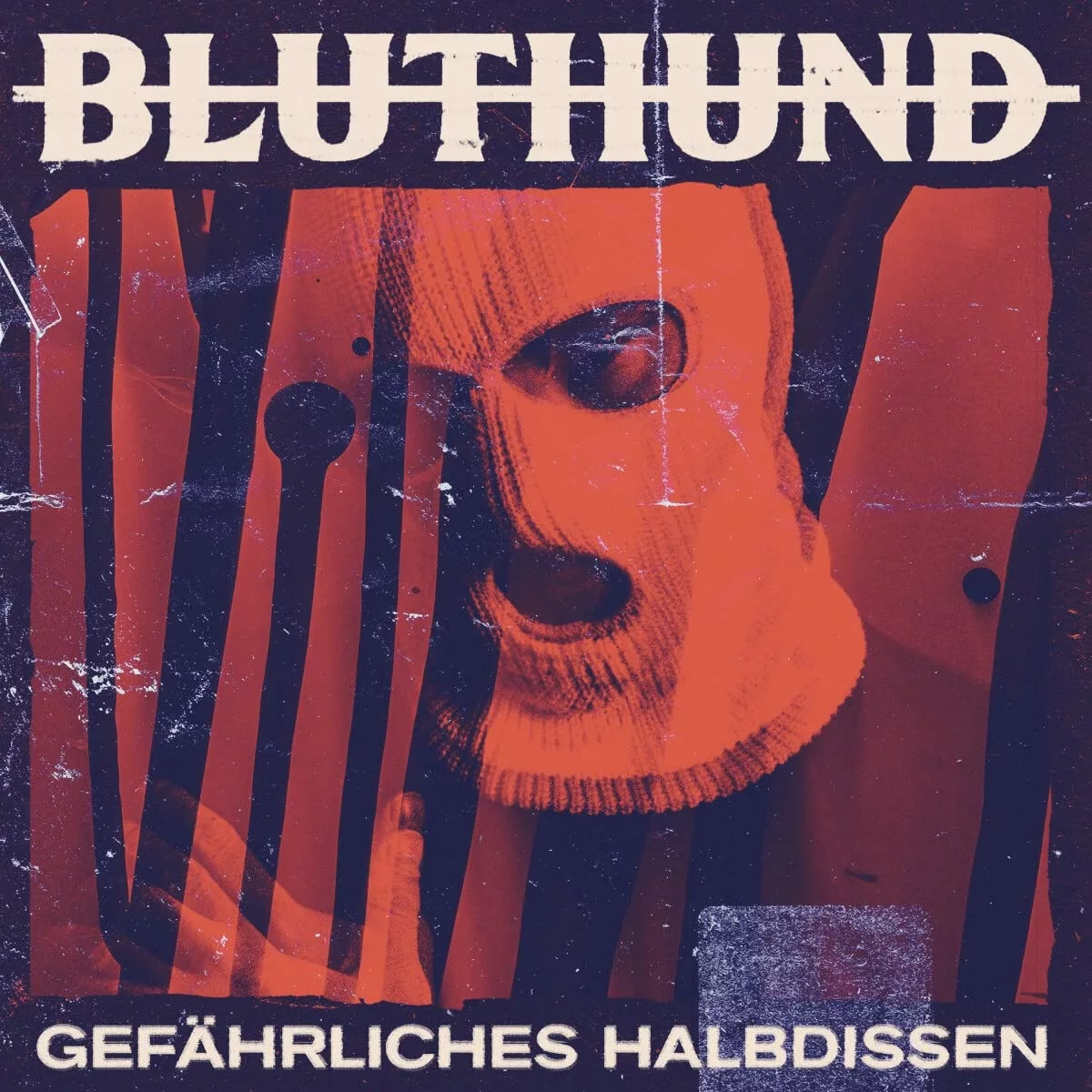 BLUTHUND - Gefährliches Halbdissen [DIGIPAK CD]