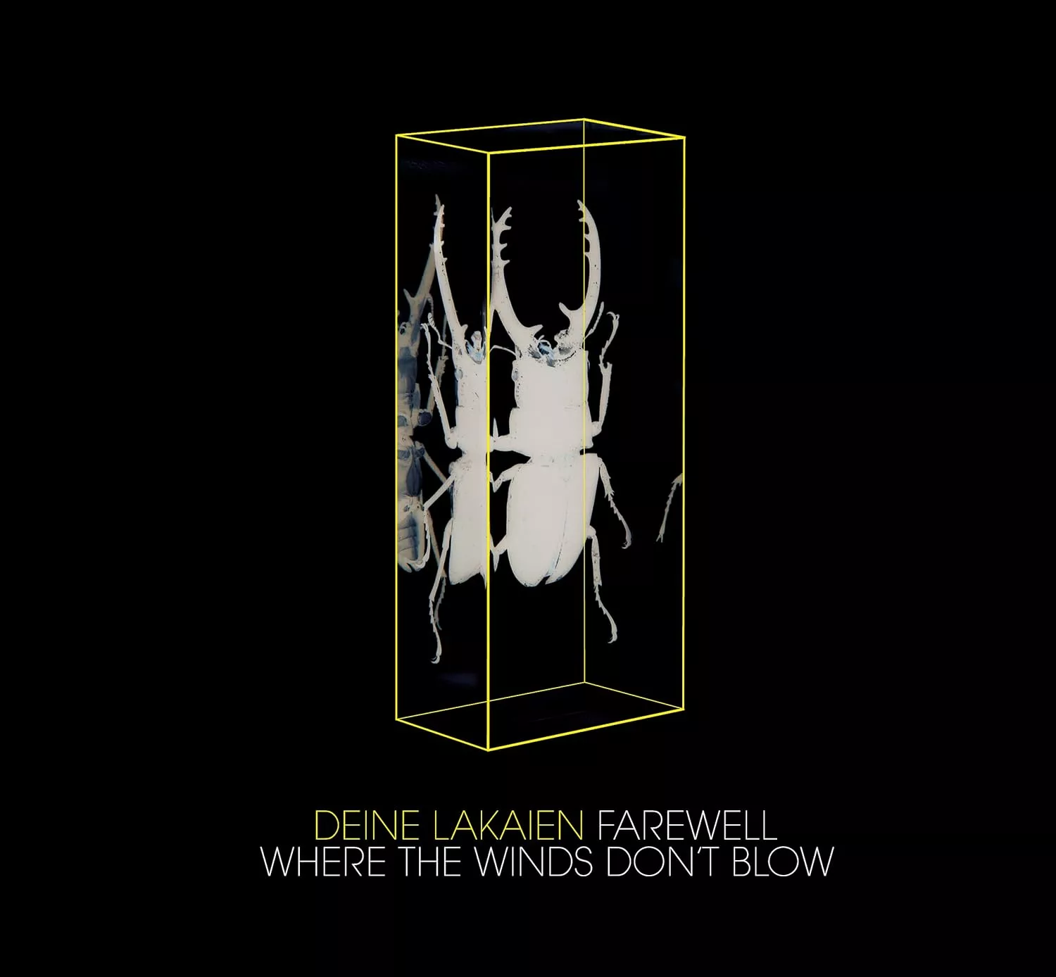 DEINE LAKAIEN - Farewell / Where The WInds Don't Blow [MAXI-CD]
